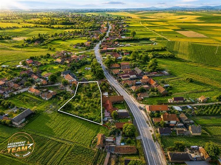 Teren Construcții intravilan de 2770 mp, în Sântionlunca