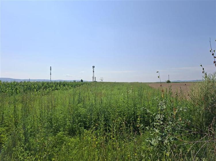 Teren intravilan de 1600 mp, în 9 Mai