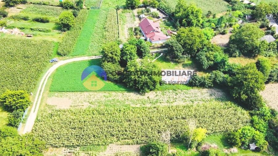 Teren intravilan de 4133 mp, în Boțești
