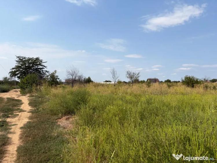 Teren intravilan, 4.508 mp, dubla deschidere, zona Malu Mar - Malu Mare (Dolj) - 3