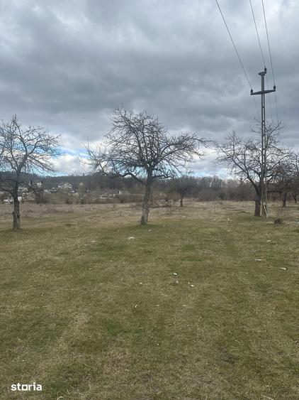 Teren de 4400 mp, în Voila