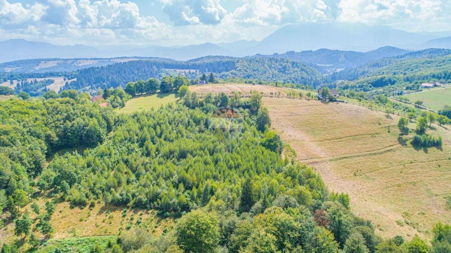 Teren agricol extravilan de 3906 mp, în Poiana Mărului
