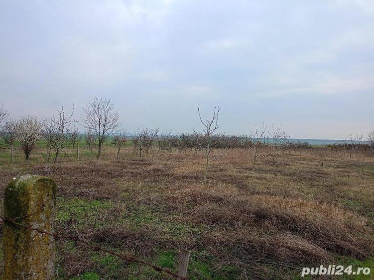 Teren de 1439 mp, în Murani