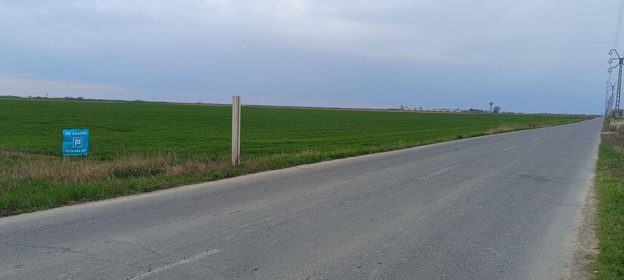 Teren agricol extravilan de 50000 mp, în Șag