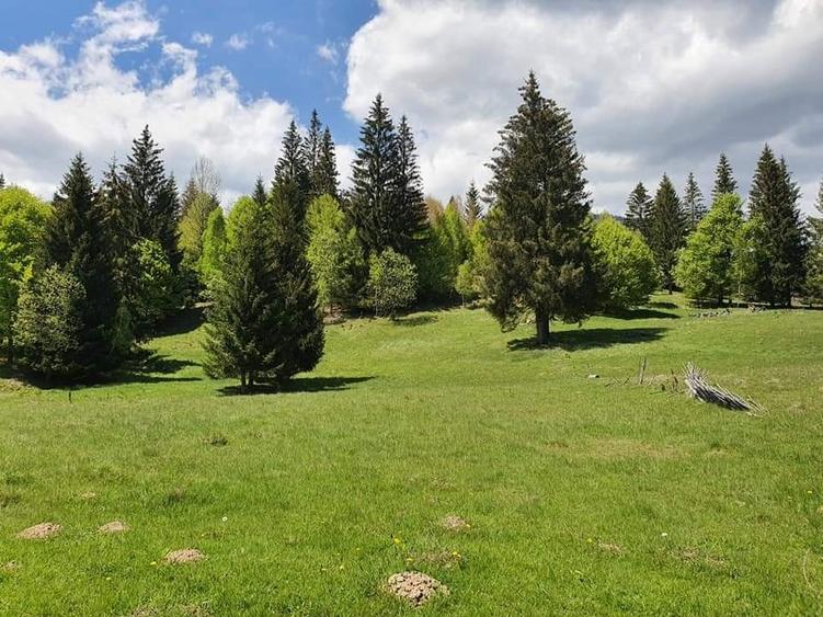 Teren Construcții intravilan de 7800 mp, în Măneciu