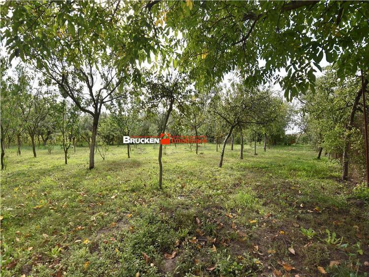 CASA IN ZONA GARII | MARGHITA - 5