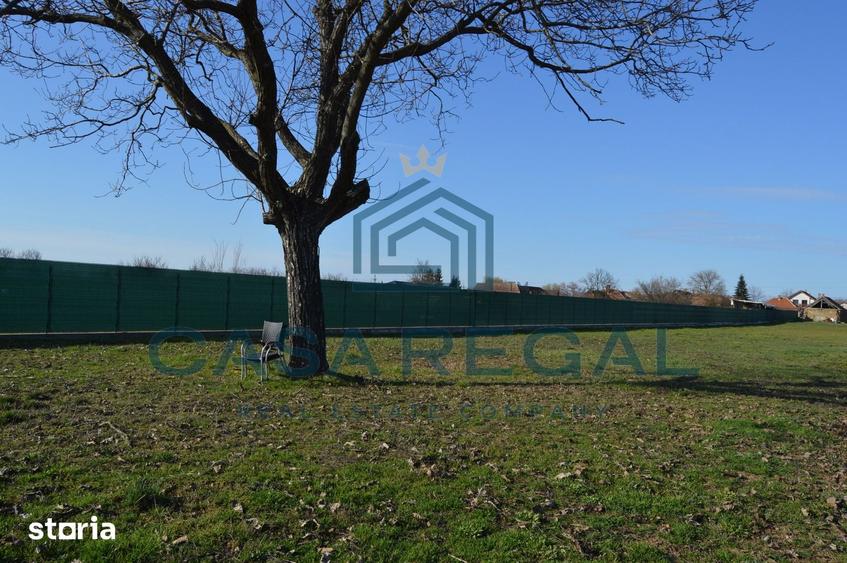 Teren de 2992 mp, în Biharia