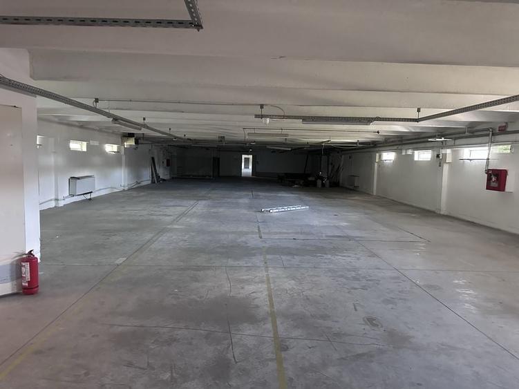 Spațiu comercial, de 1,000 mp, în Bălata