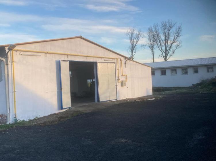 Spațiu industrial, de 1,500 mp, în Central