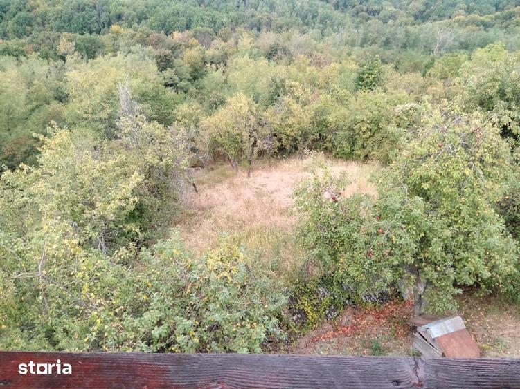 Casă cu 3 camere cu Teren 2880 Mp în Băbana