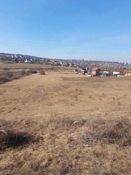 Teren de 5000 mp, în Borhanci