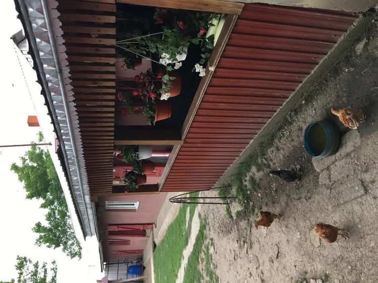 Casă cu 5 camere în Viișoara