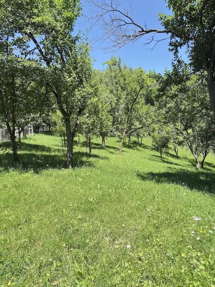 Teren de 6344 mp, în Seciu