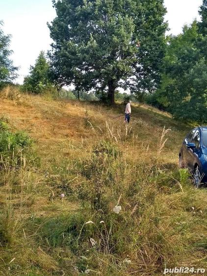 Teren de 8600 mp, în Baia de Fier