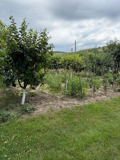 Casă cu 4 camere în Racovițeni