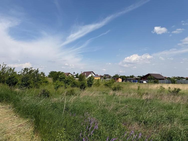Teren de 900 mp, în Dumbrava
