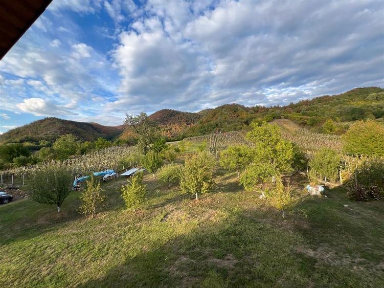 Casă individuală cu 6 camere cu Teren 5700 Mp în Cicârlău