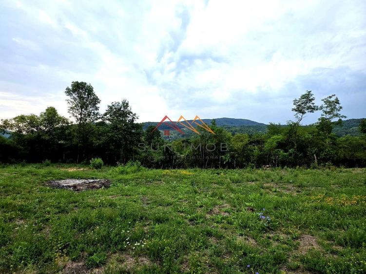 Teren Construcții intravilan de 2600 mp, în Drăgăneasa