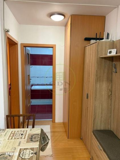 Apartament 2 camere de inchiriat-Zona Doamna Stanca - 11