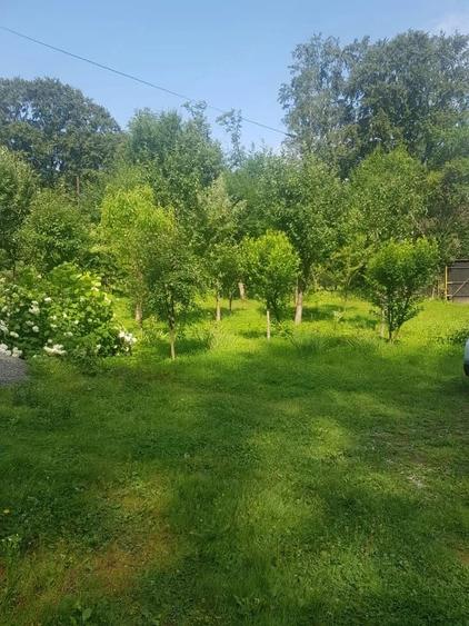 Casă cu 4 camere cu Teren 800 Mp în Central