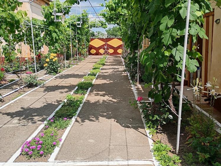 Casă cu 4 camere cu Teren 2800 Mp în Șipet