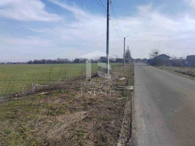 Teren de 1023 mp, în Cernica