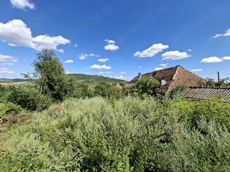 Teren de 3500 mp, în Sângeorzu Nou