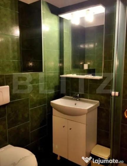 Spațiu comercial, de 450 mp, în Lugojului