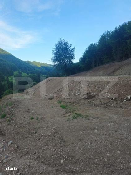 Teren de vanzare, 10.000 mp - Bistrita Bargaului, zona turistica - 3