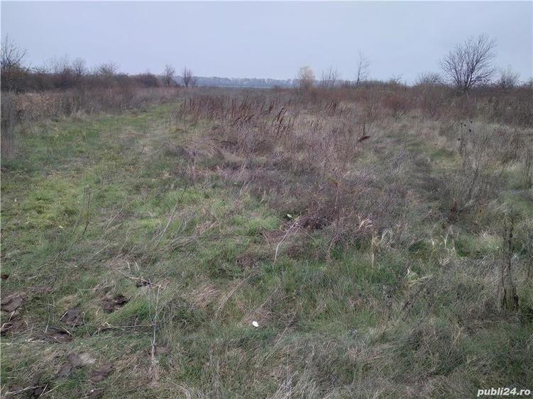 Teren de 10000 mp, în Afumați