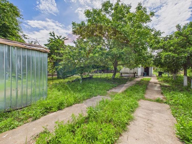 Casă 65 mp + teren 4000 mp, livadă, Butimanu - 23