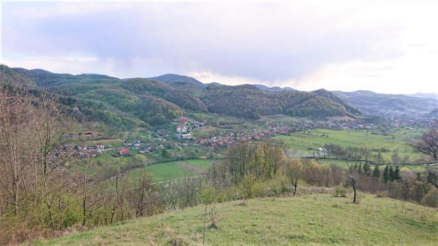 Teren Construcții intravilan de 69237 mp, în Crișcior