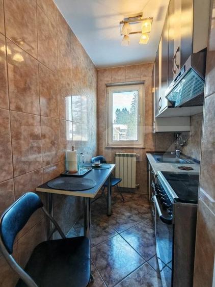 Apartament cu 2 camere decomandat, mobilat în Vlădeț - Trei Brazi