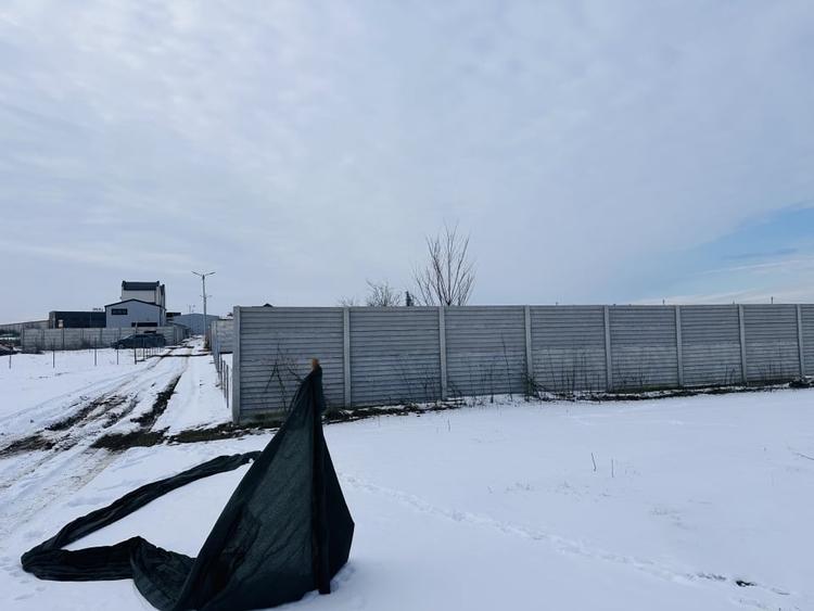 Teren Construcții intravilan de 600 mp, în Chiajna