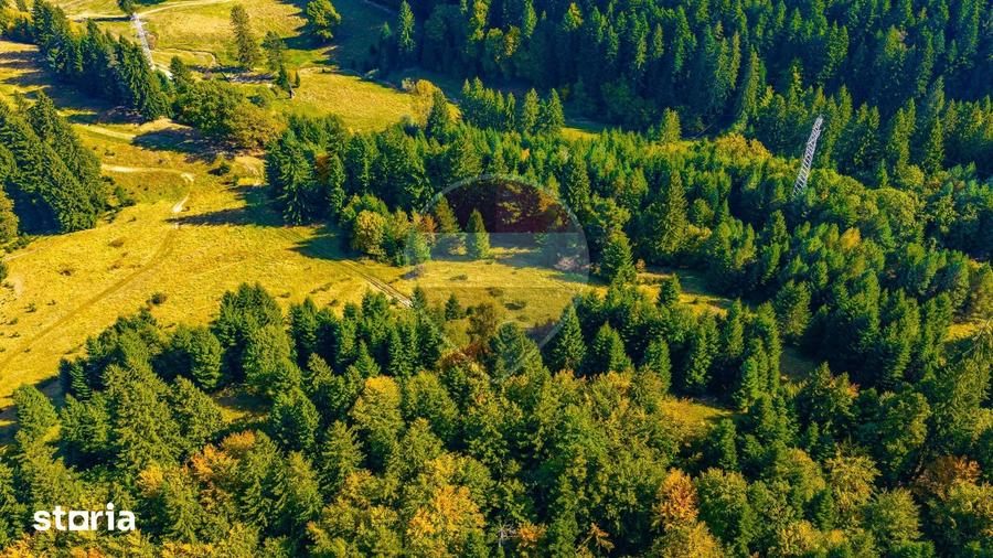 Teren de 2400 mp, în Central