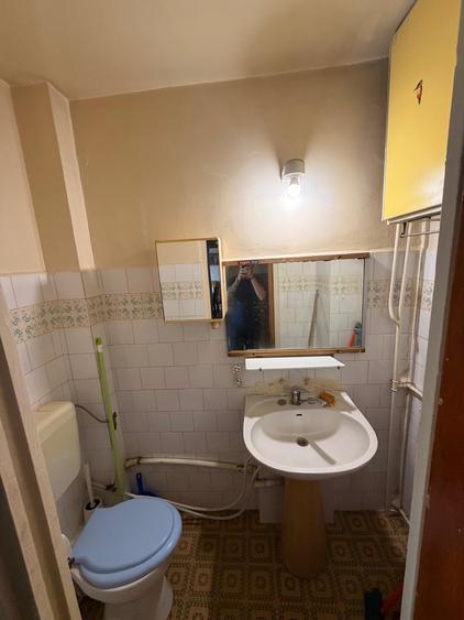 APARTAMENT 3 CAMERE TEIUL DOAMNEI - 7