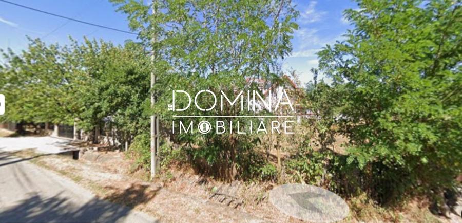 Teren agricol intravilan de 6292 mp, în Preajba Mare