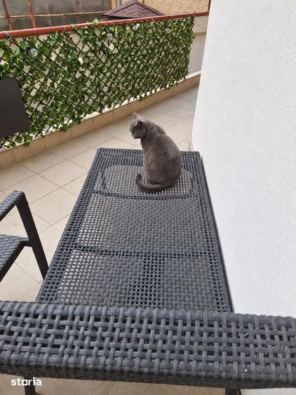 Casă cu Teren 269 Mp în Vitan