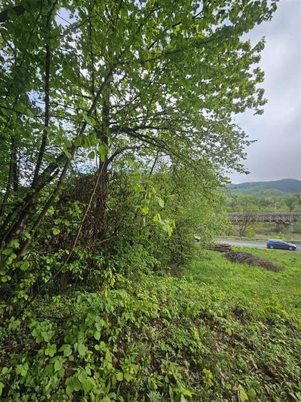 Teren extravilan de 2842 mp, în Vest