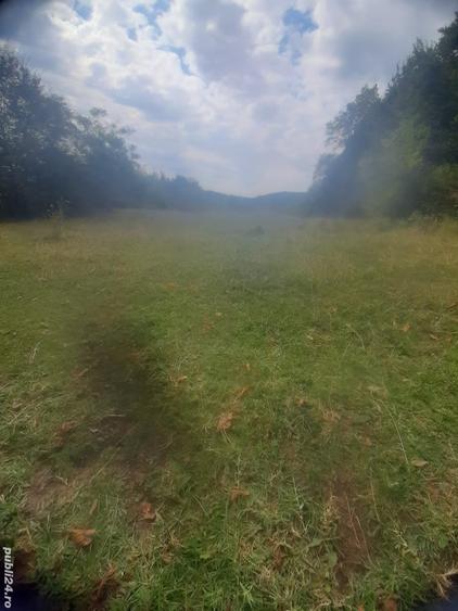 Teren de 12330 mp, în Baia de Fier