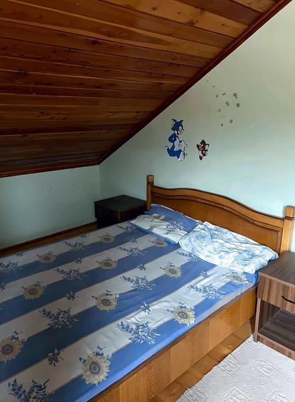 Duplex cu 10 camere cu Teren 400 Mp în Bușteni