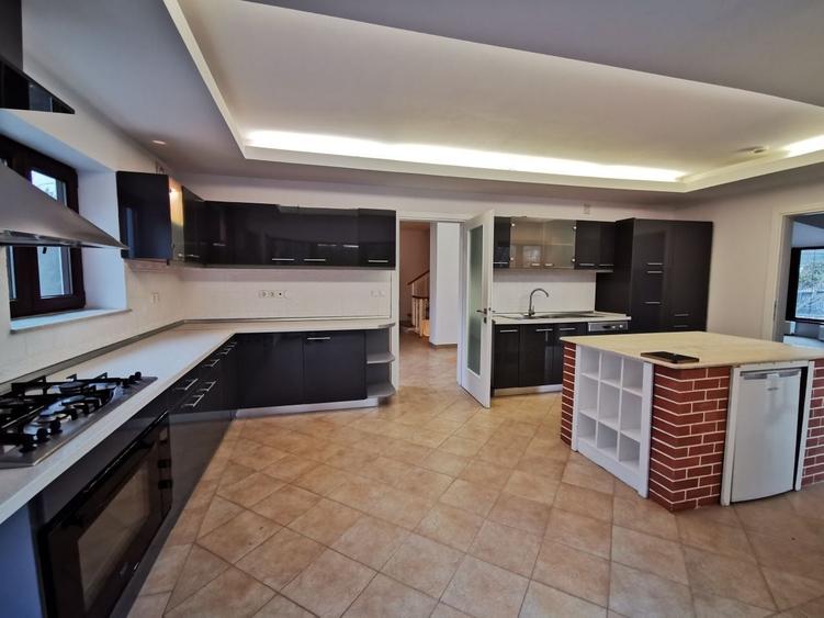 Casă individuală cu 8 camere cu Piscina în Iancu Nicolae