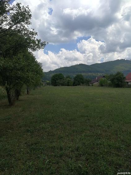 Teren în Stejaru (Pângărați)