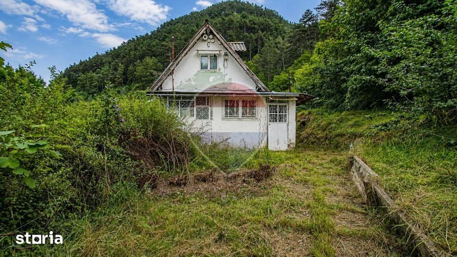 CASA CU GRADINA DE 1.498 MP | 3 FRONTURI STRADALE | SCHEII BRASOVULUI - 19