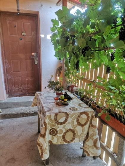 Casă cu 5 camere cu Teren 220 Mp în Ostrov