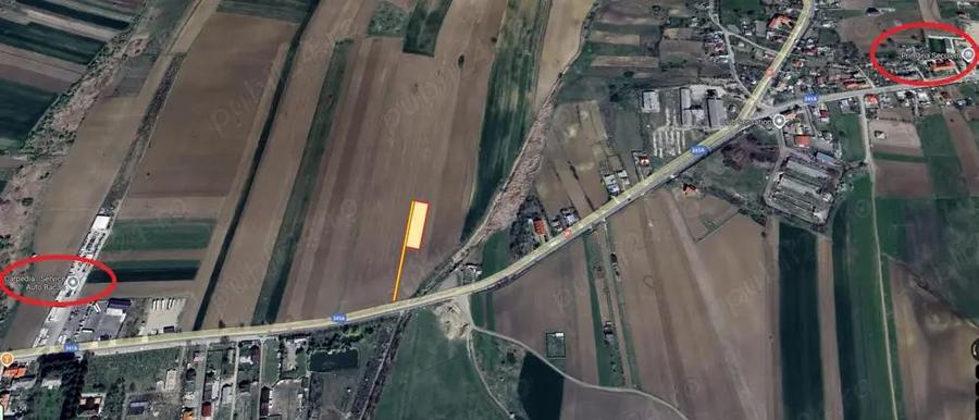 Teren de 2500 mp, în Secuieni