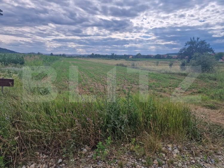Teren Construcții intravilan de 4300 mp, în Livada (Iclod)