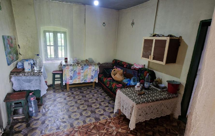 Casă cu 4 camere cu Teren 3200 Mp în Horezu-Poenari