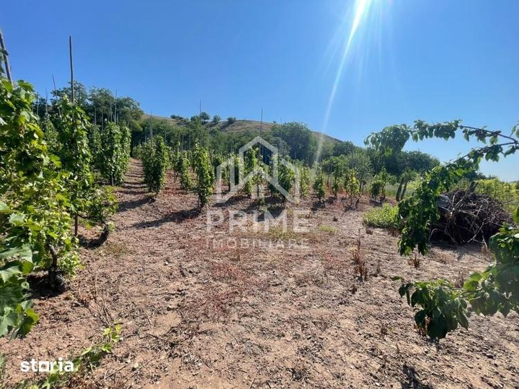 Casă cu 4 camere cu Teren 1400 Mp în Dos