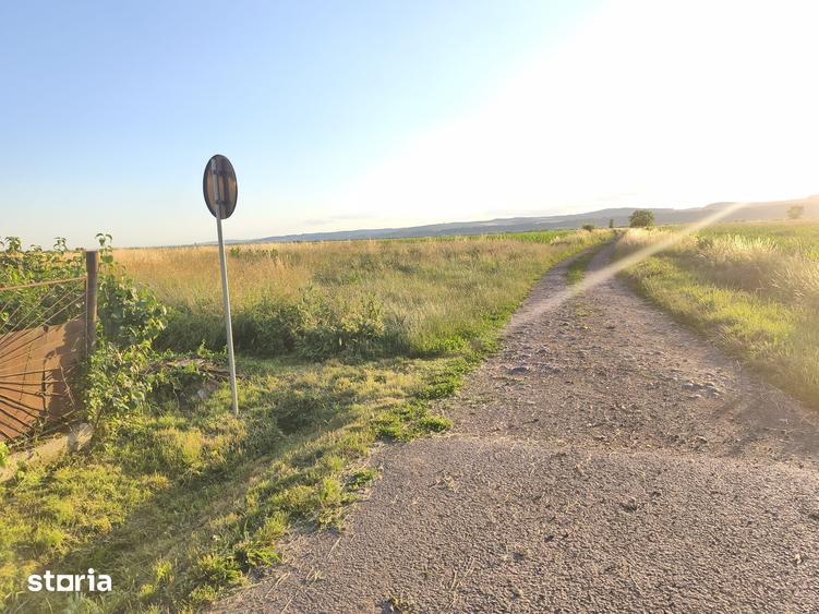 Teren de 3500 mp, în Ernei